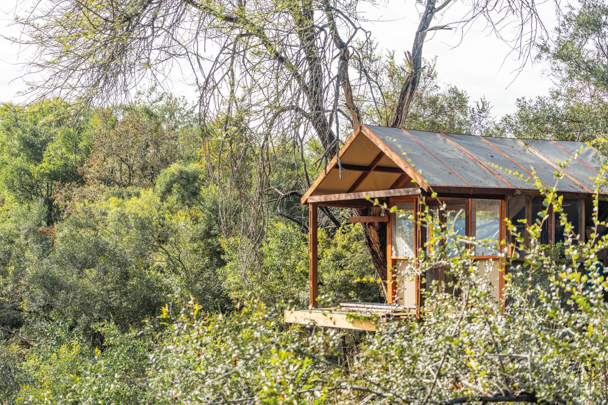 Ndzhaka Tented Camp Wildreservat Manyeleti Exterior foto